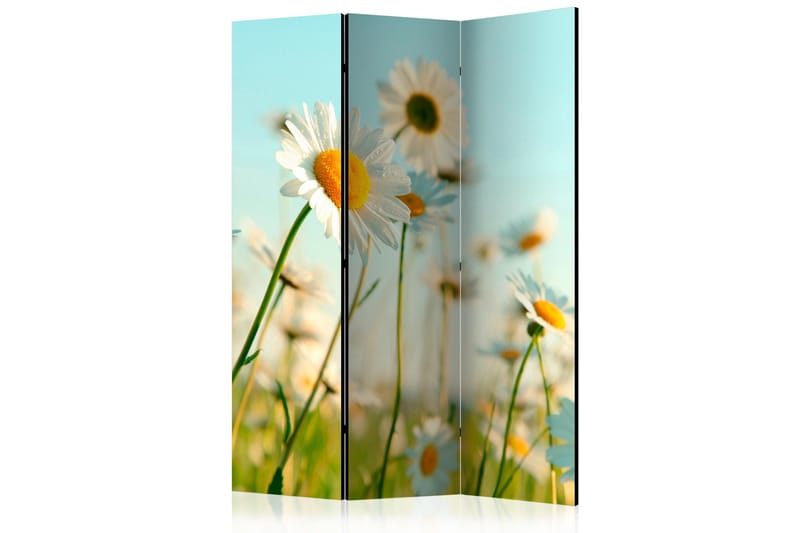 Rumdeler - Daisies - spring meadow 135x172, Artgeist sp. z o. o.