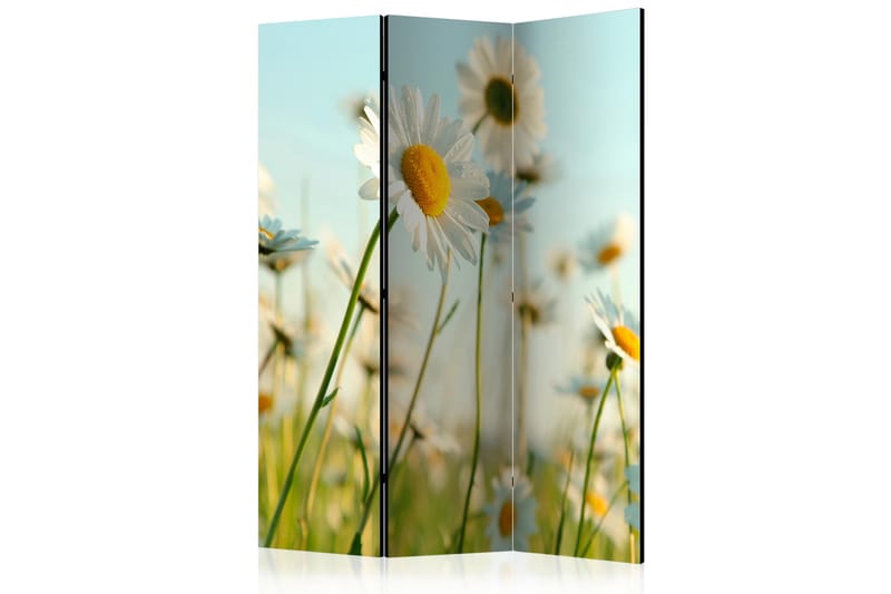 Rumdeler Daisies - Spring Meadow 135x172 cm - Artgeist sp. z o. o. - Foldeskærm - Rumdelere