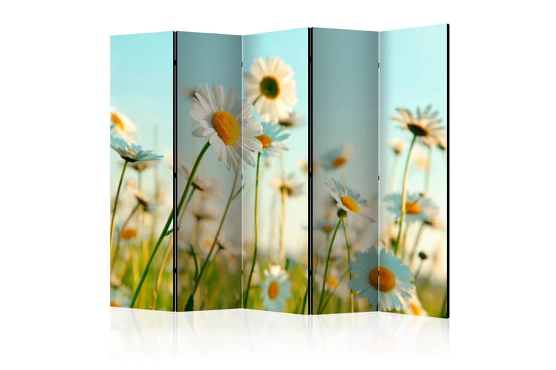 Rumdeler - Daisies - spring meadow II 225x172, Artgeist sp. z o. o.