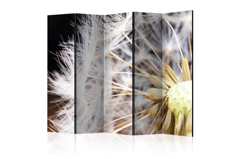 Rumdeler - Fluffy dandelion II 225x172, Artgeist sp. z o. o.