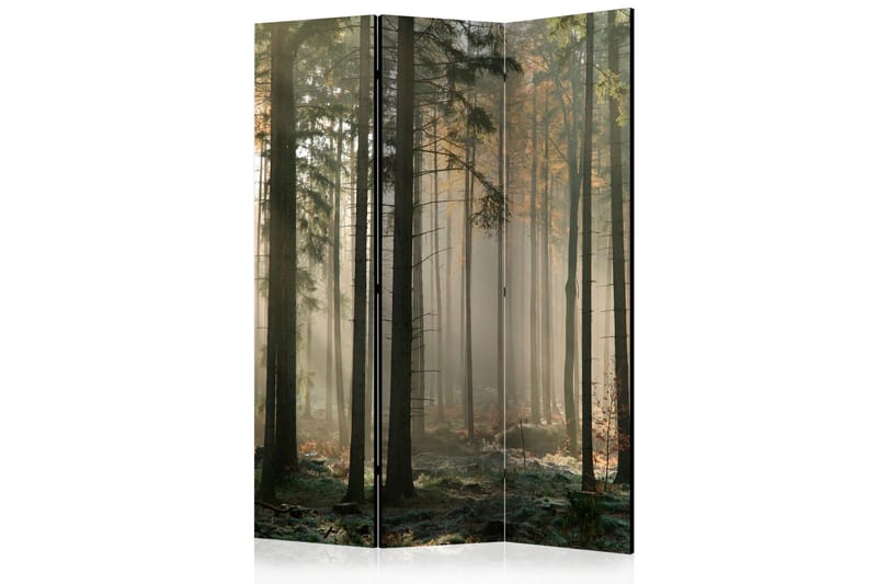 Rumdeler Foggy November Morning 135x172 cm, Artgeist sp. z o. o.