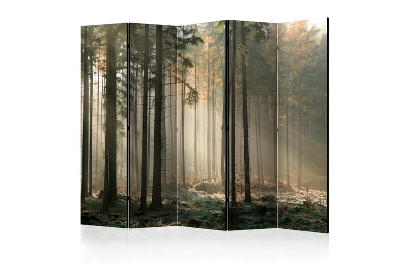 Rumdeler Foggy November Morning II 225x172 cm - Artgeist sp. z o. o. - Boligtilbehør - Rumdelere - Foldeskærm