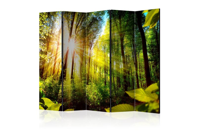 Rumdeler - Forest Hideout II 225x172, Artgeist sp. z o. o.