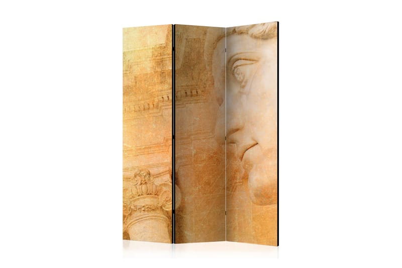 Rumdeler - Greek God 135x172 - Artgeist sp. z o. o. - Foldeskærm - Rumdelere