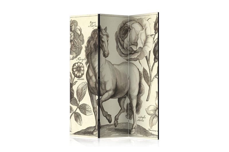 Rumdeler Horse 135x172, Artgeist sp. z o. o.