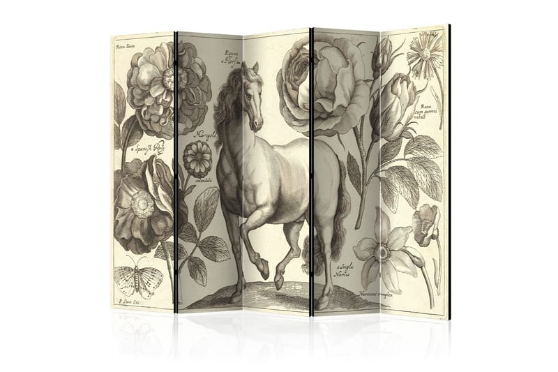 Rumdeler Horse 225x172 - Artgeist sp. z o. o. - Boligtilbehør - Rumdelere - Foldeskærm