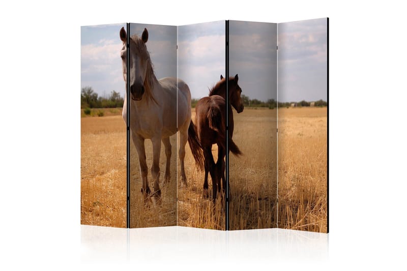 Rumdeler - Horse and foal II 225x172, Artgeist sp. z o. o.