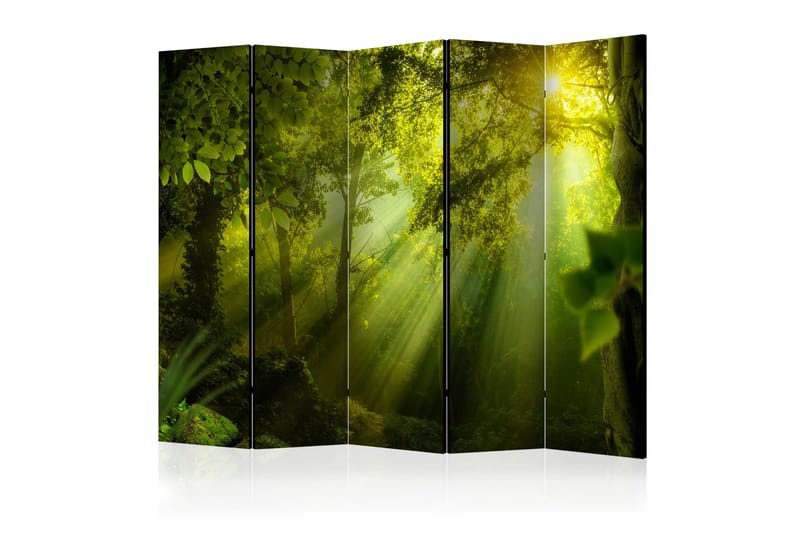 Rumdeler -  In a Secret Forest II II 225x172, Artgeist sp. z o. o.