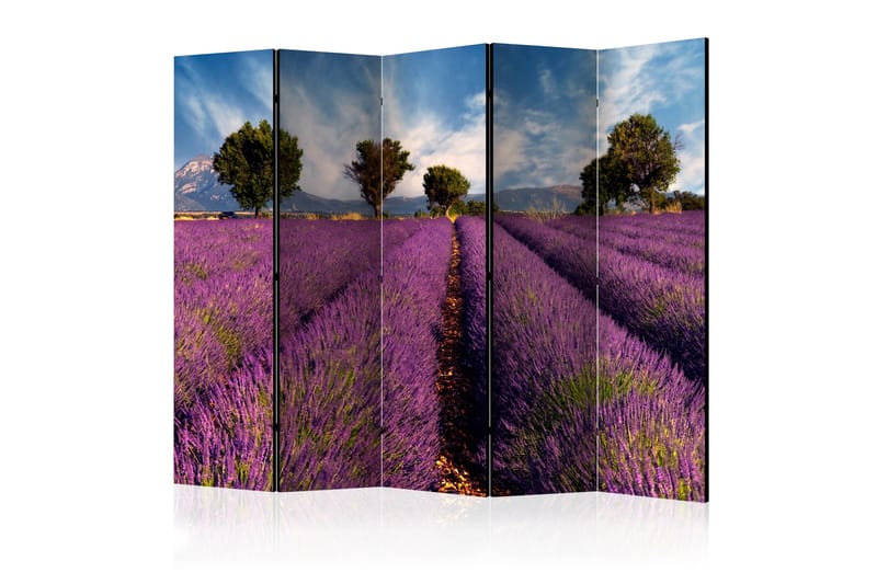 Rumdeler Lavender Field in Provence, France II 225x172 cm, Artgeist sp. z o. o.