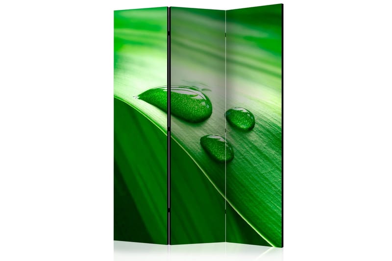 Rumdeler - Leaf and three drops of water 135x172, Artgeist sp. z o. o.