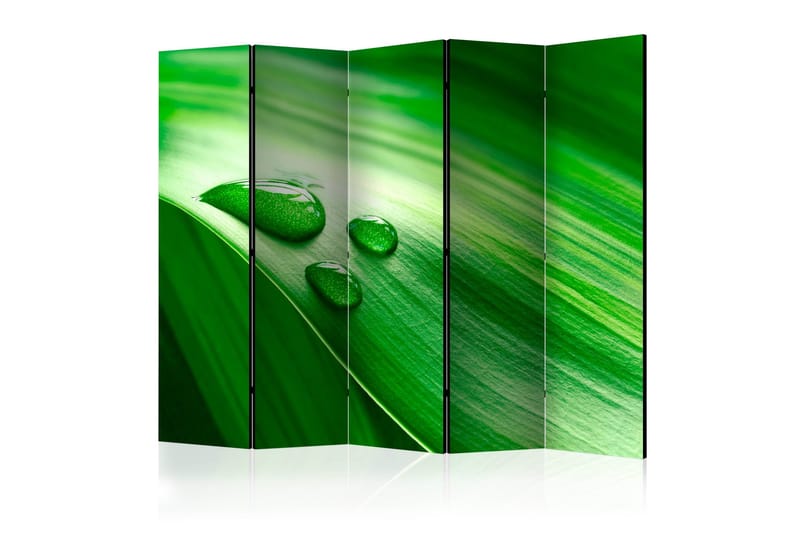 Rumdeler - Leaf and three drops of water II 225x172, Artgeist sp. z o. o.