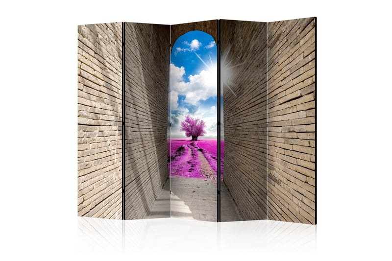 Rumdeler - Magical Passage II 225x172, Artgeist sp. z o. o.