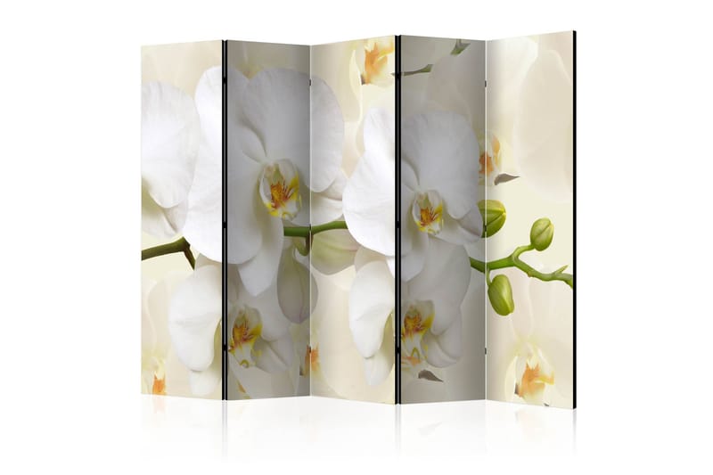 Rumdeler Orchid Branch II 225x172 cm, Artgeist sp. z o. o.