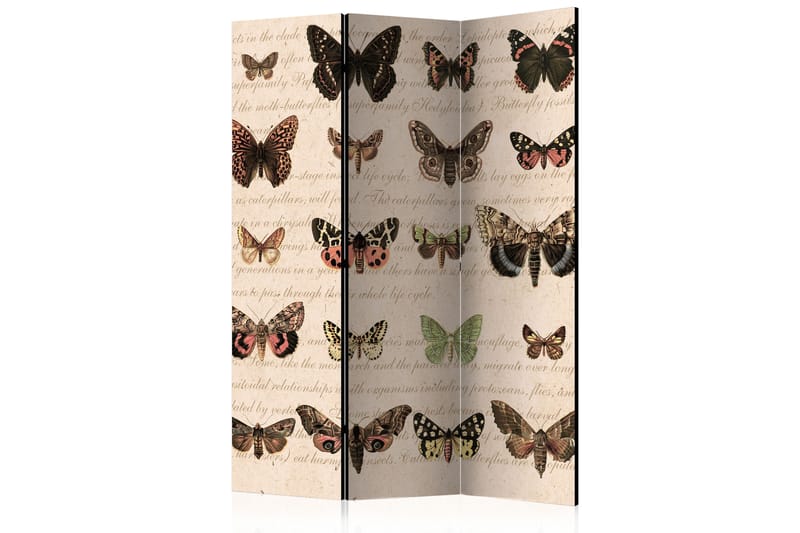 Rumdeler Retro Style Butterflies 135x172 - Artgeist sp. z o. o. - Boligtilbehør - Rumdelere - Foldeskærm