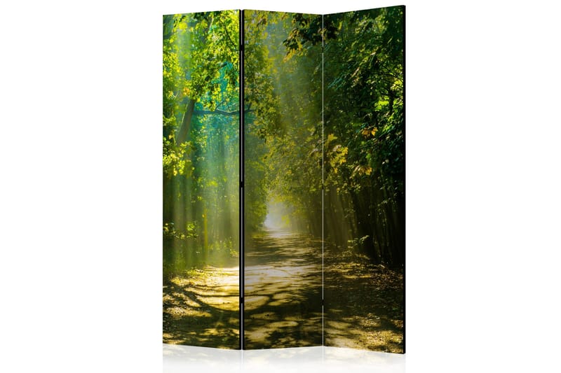 Rumdeler Road In Sunlight 135x172, Artgeist sp. z o. o.