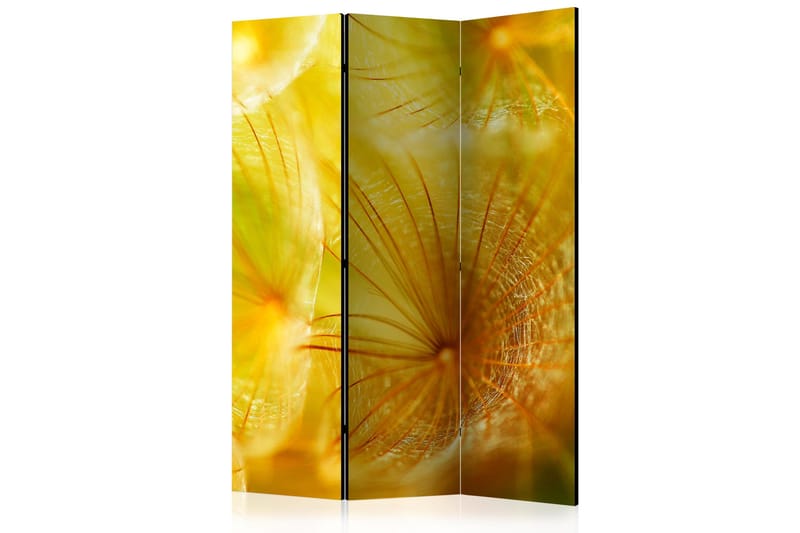 Rumdeler - Soft dandelion flower 135x172, Artgeist sp. z o. o.
