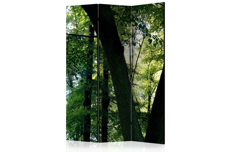 Rumdeler - Spring in the Park 135x172, Artgeist sp. z o. o.