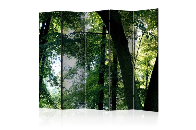 Rumdeler - Spring in the Park II 225x172, Artgeist sp. z o. o.