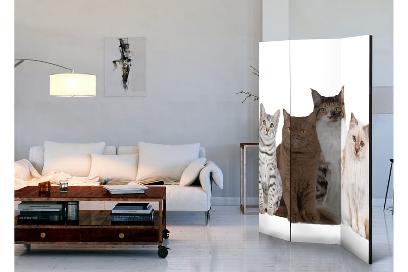 Rumdeler Sweet Cats 135x172 - Artgeist sp. z o. o. - Boligtilbehør - Rumdelere - Foldeskærm