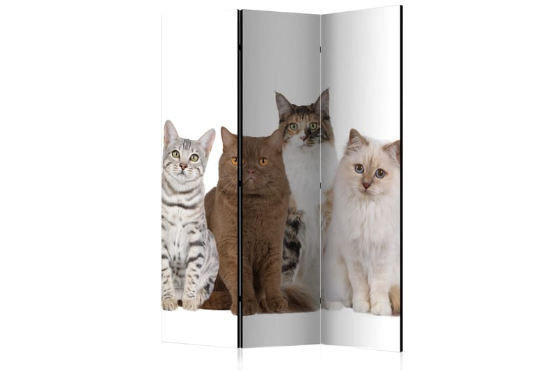 Rumdeler Sweet Cats 135x172 - Artgeist sp. z o. o. - Boligtilbehør - Rumdelere - Foldeskærm