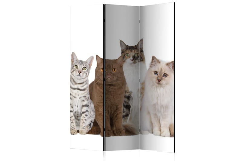 Rumdeler Sweet Cats 135x172 - Artgeist sp. z o. o. - Foldeskærm - Rumdelere