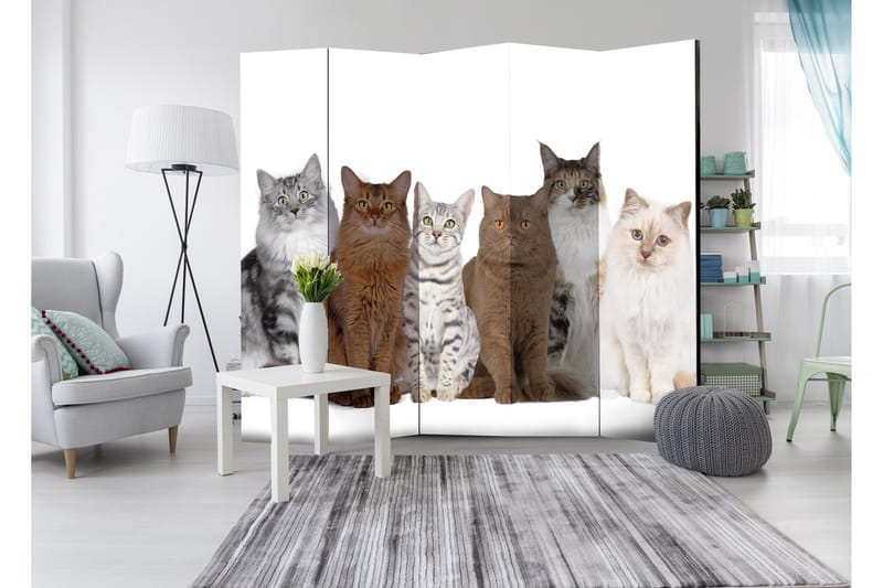 Rumdeler Sweet Cats 225x172 - Artgeist sp. z o. o. - Boligtilbehør - Rumdelere - Foldeskærm
