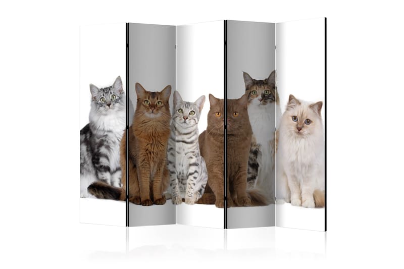 Rumdeler Sweet Cats 225x172 - Artgeist sp. z o. o. - Boligtilbehør - Rumdelere - Foldeskærm