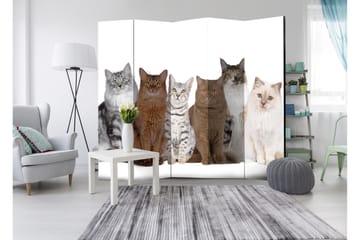 Rumdeler Sweet Cats 225x172 - Artgeist sp. z o. o. - Boligtilbehør - Rumdelere - Foldeskærm