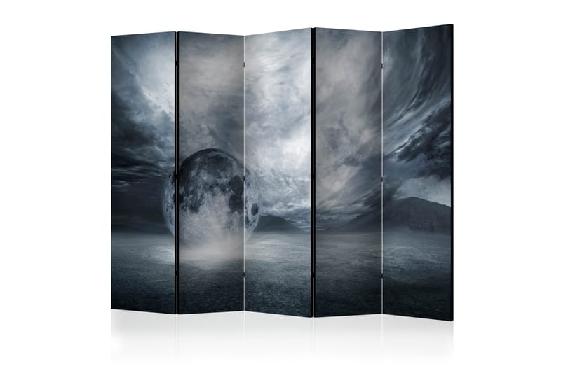 Rumdeler The Lost Planet II 225x172 cm, Artgeist sp. z o. o.