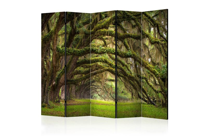 Rumdeler - Tree embrace II 225x172, Artgeist sp. z o. o.