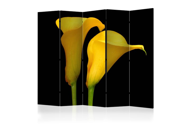 Rumdeler - Two yellow calla flowers 225x172 - Artgeist sp. z o. o. - Foldeskærm - Rumdelere