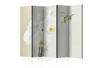 Rumdeler - White orchid II 225x172 - Artgeist sp. z o. o. - Boligtilbehør - Rumdelere - Foldeskærm