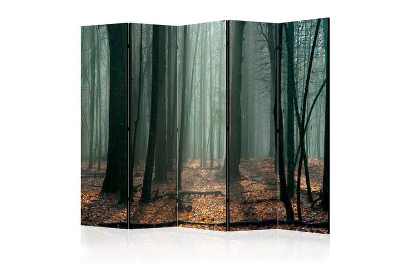 Rumdeler Witches' Forest II 225x172 cm, Artgeist sp. z o. o.