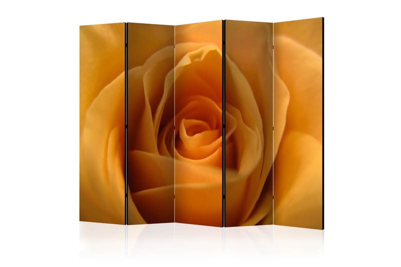 Rumdeler - Yellow rose – a symbol of friendship II 225x172, Artgeist sp. z o. o.