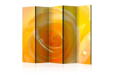 Rumdeler - Yellow rose II 225x172 - Artgeist sp. z o. o. - Boligtilbehør - Rumdelere - Foldeskærm