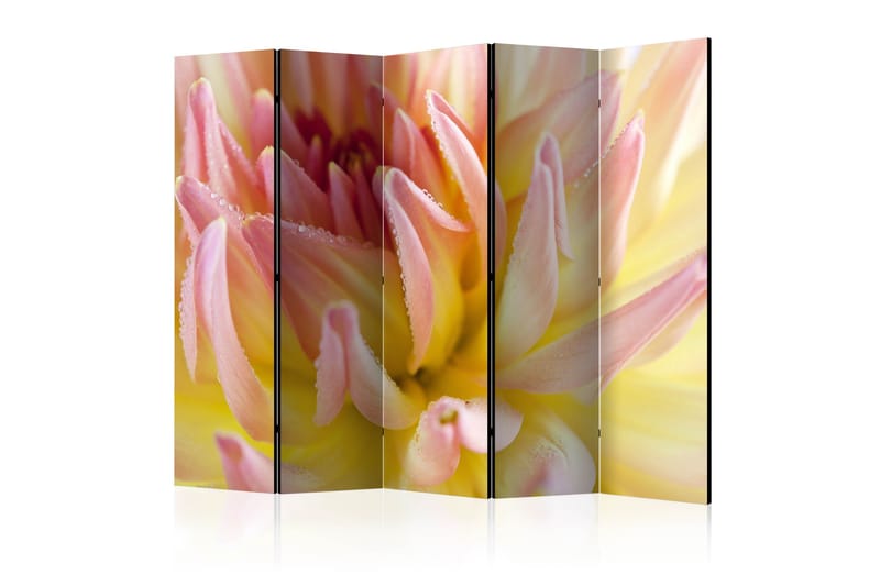 Rumdeler - Pastel colored dahlia flower 225x172 - Artgeist sp. z o. o. - Boligtilbehør - Rumdelere - Foldeskærm
