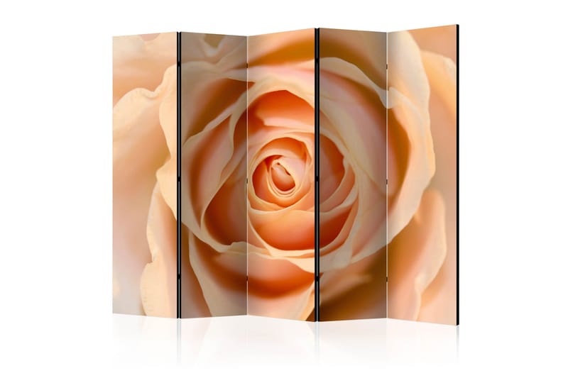 Rumdeler - Peach-colored rose II 225x172, Artgeist sp. z o. o.