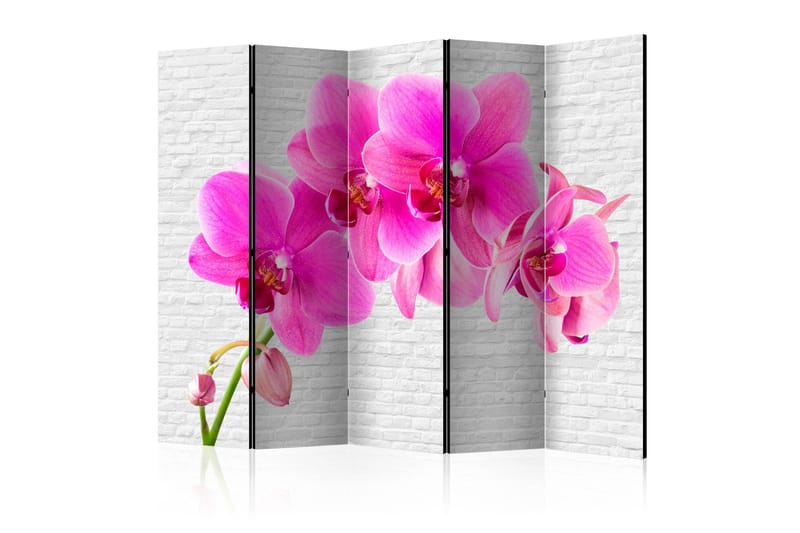 Rumdeler - Pink excitation II 225x172, Artgeist sp. z o. o.