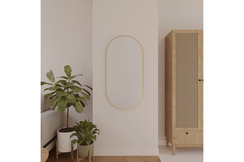 Micedi Væghængt Spejl 50x100 cm - Guld - Boligtilbehør - Spejle - Vægspejl