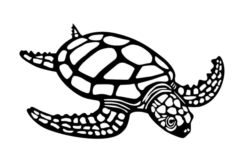 Caretta Caretta Vægdekor - Sort - Boligtilbehør - Vægdekoration - Skilt - Emaljeskilte