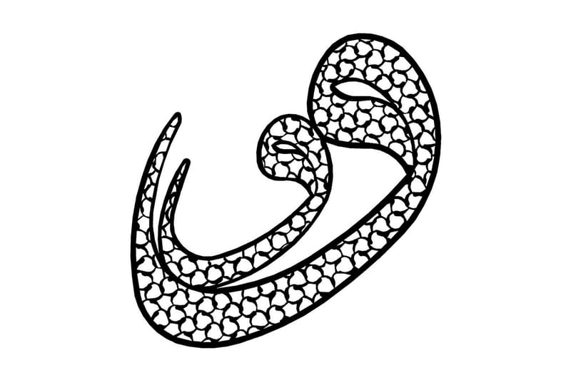 Dekorativt Vægtilbehør, Sort