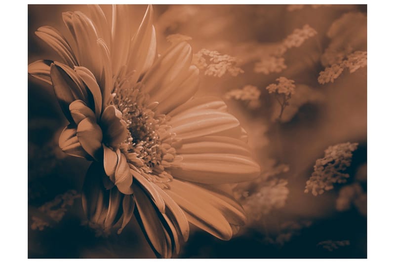 Fototapet Gerbera Brons 400x309 - Artgeist sp. z o. o. - Boligtilbehør - Vægdekoration - Tapeter - Fototapeter