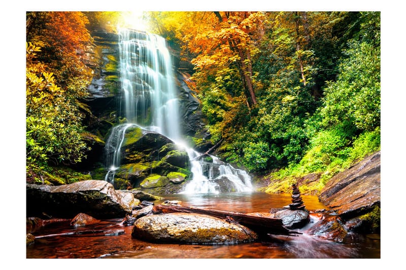 Canvastavle Amazing Wonder Of Nature 100x70, Artgeist sp. z o. o.