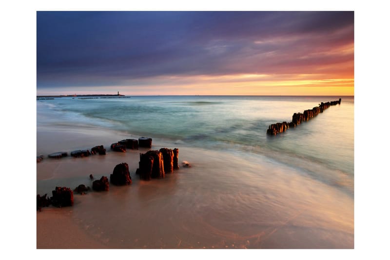 Canvastavle Beach Beach Sunrise 250x193 - Artgeist sp. z o. o. - Boligtilbehør - Vægdekoration - Tapeter - Fototapeter