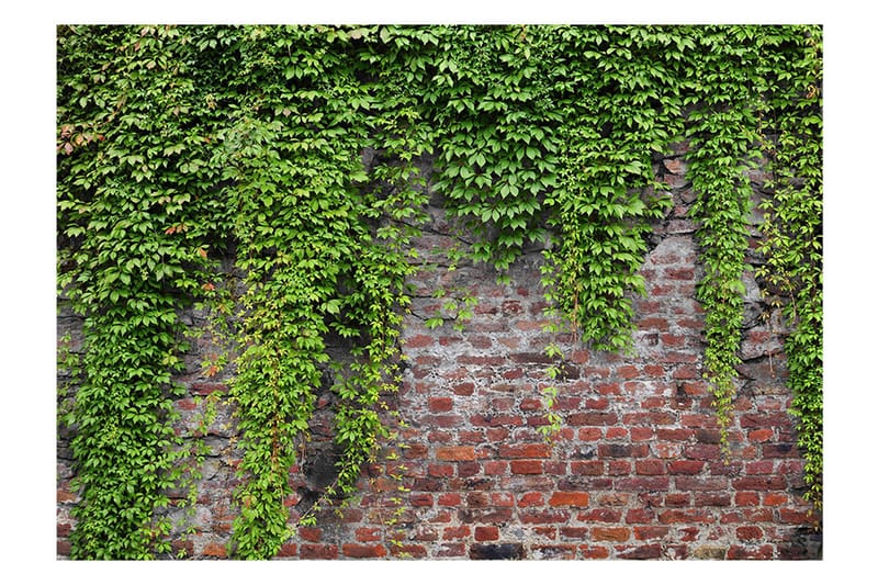 Canvastavle Brick And Ivy 150x105 - Artgeist sp. z o. o. - Boligtilbehør - Vægdekoration - Tapeter - Fototapeter
