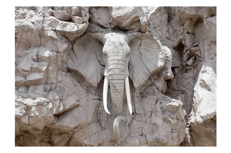 Canvastavle Bridge of Time Sydafrika 250x175 - Artgeist sp. z o. o. - Boligtilbehør - Vægdekoration - Tapeter - Fototapeter