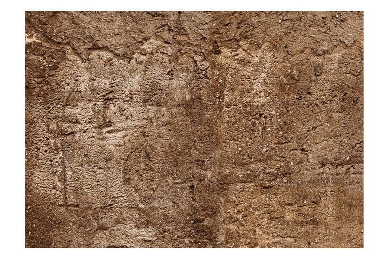Canvastavle Cave Of Time 250x175 - Artgeist sp. z o. o. - Boligtilbehør - Vægdekoration - Tapeter - Fototapeter