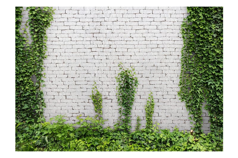 Canvastavle Creeping Ivy 150x105 - Artgeist sp. z o. o. - Boligtilbehør - Vægdekoration - Tapeter - Fototapeter