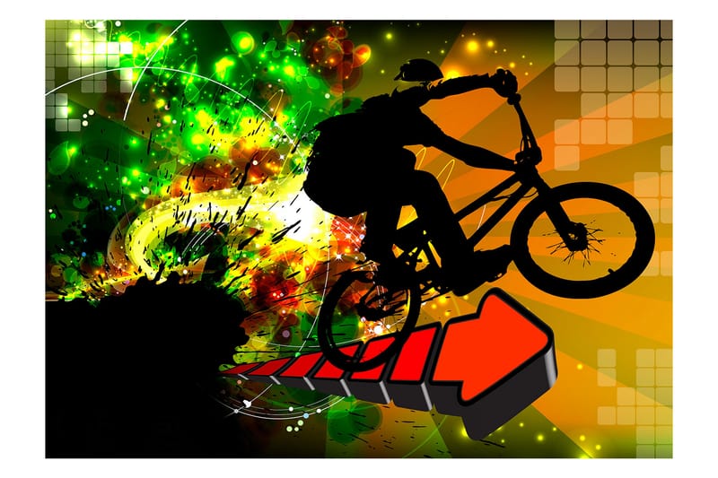 Canvastavle cykel tricks 200x140 - Artgeist sp. z o. o. - Boligtilbehør - Vægdekoration - Tapeter - Fototapeter
