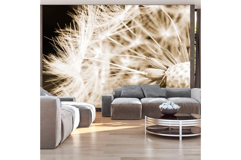 Canvastavle Dandelion Sepia 200x140, Artgeist sp. z o. o.